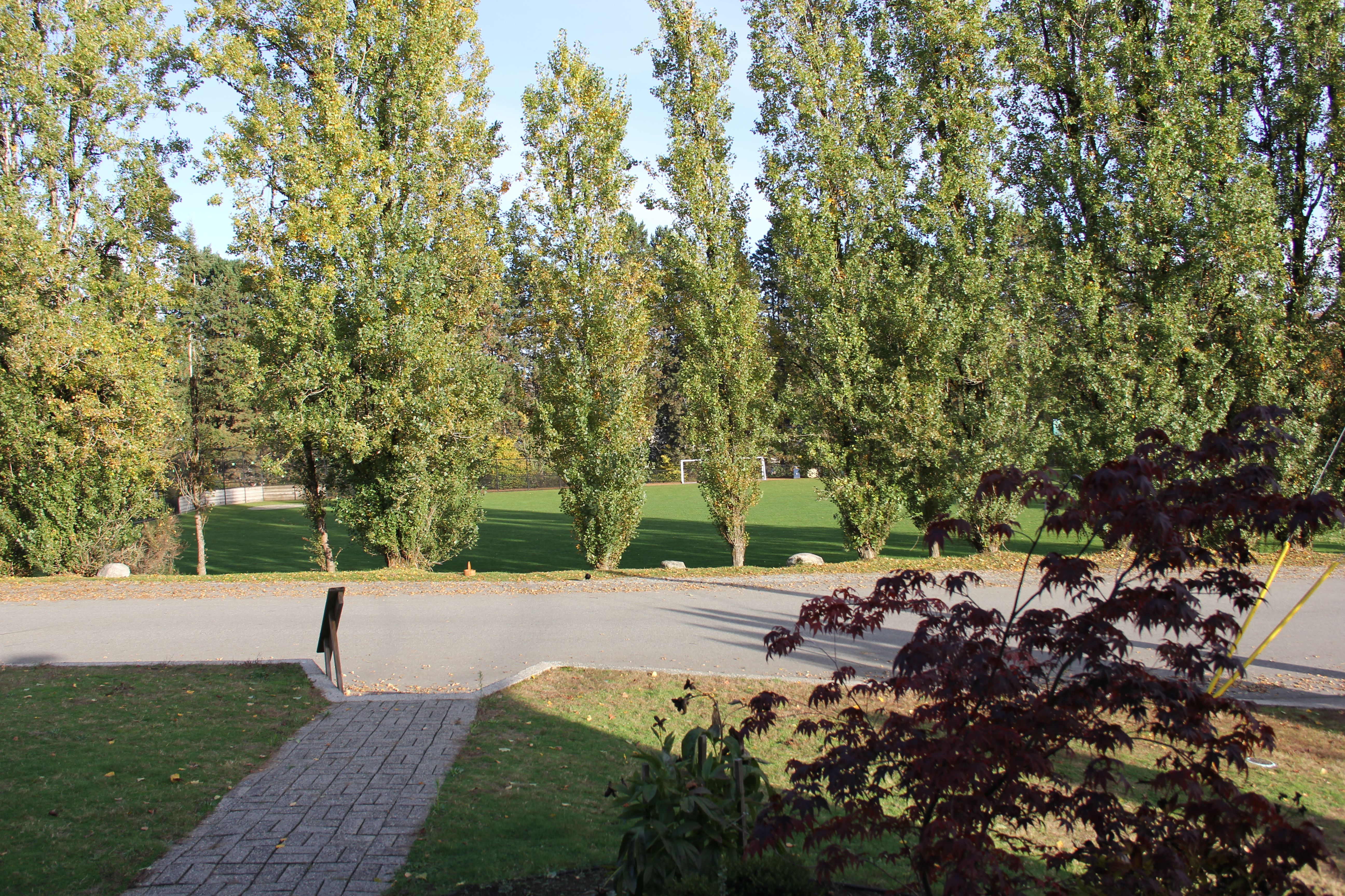 Affordable Private Room 3 for Students in Burquitlam near SkyTrain